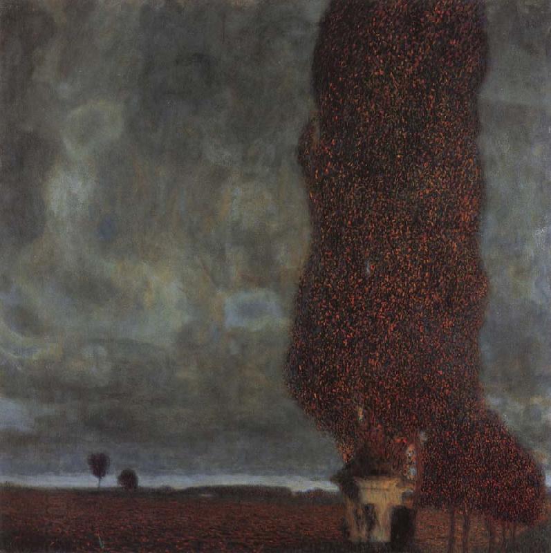 Gustav Klimt The Large poplar oil painting picture